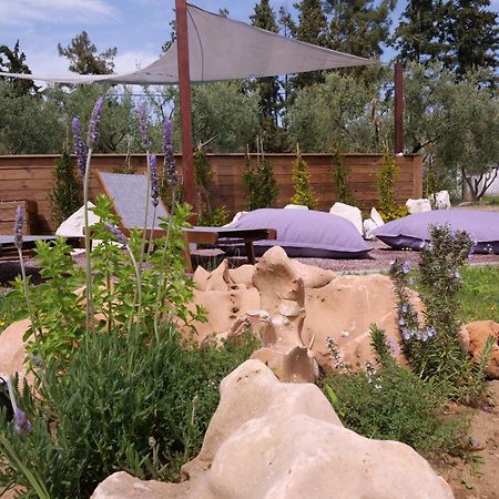Agios Mamas Resort Неа Потидея Стая снимка