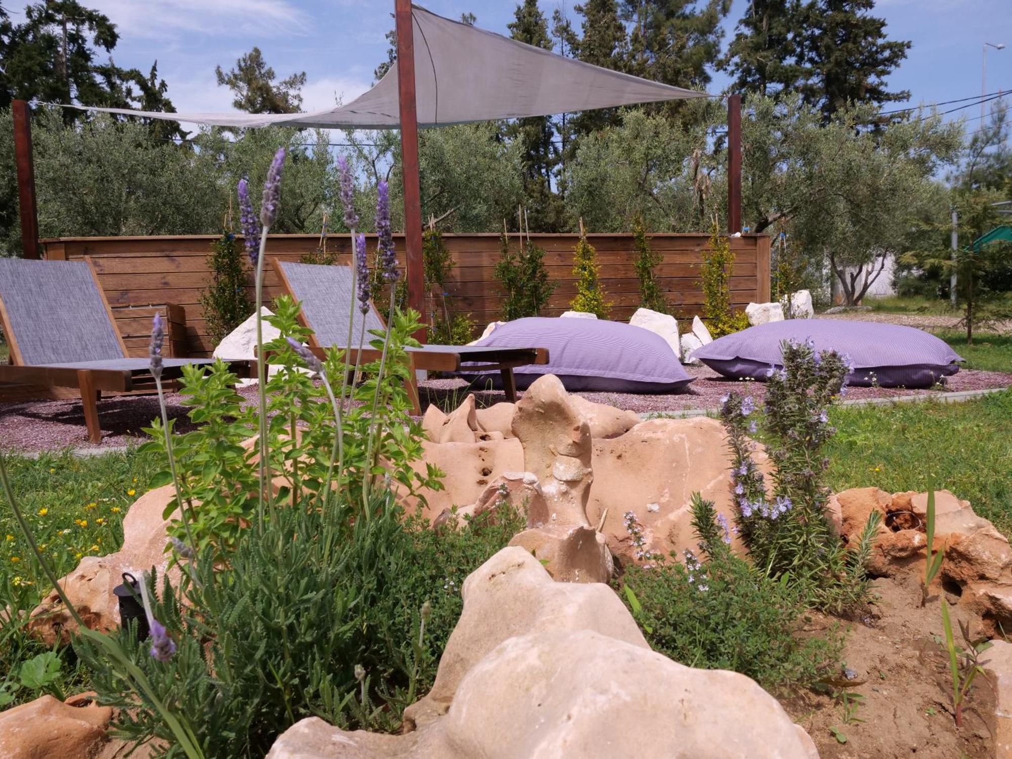 Agios Mamas Resort Неа Потидея Стая снимка